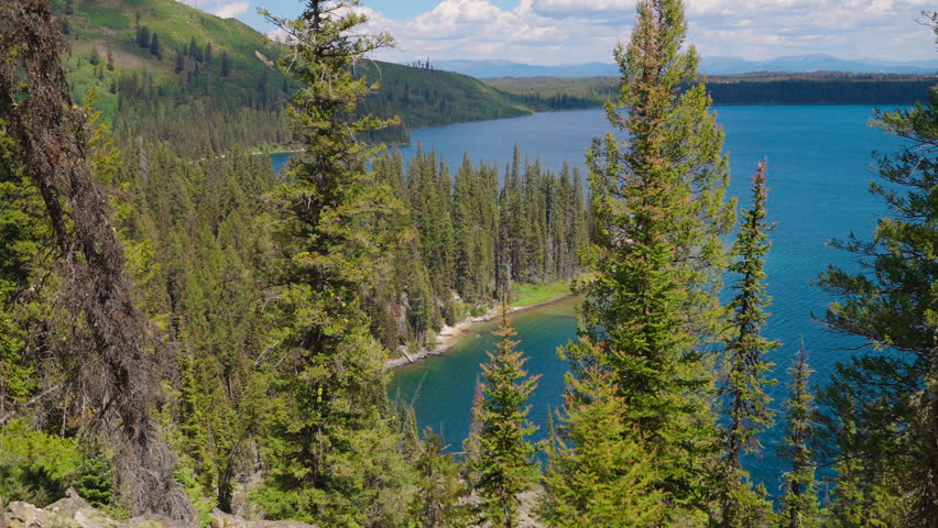 Tall forest trees encircle a stunning blue lake, their reflections shimmering on the calm waters, creating a peaceful and breathtaking natural scene.