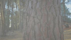 Man in camouflage holding crossbow in forest with data overlay animation. Hunter, archery, wildlife, survival, technology, digital - Powered by Shutterstock - Get 15% off with code: PIKWIZARD15