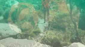 Hiking in natural landscape, hiker viewing animation of digital data overlay. Outdoors, adventure, exploration, technology, augmented reality, trekking - Powered by Shutterstock - Get 15% off with code: PIKWIZARD15