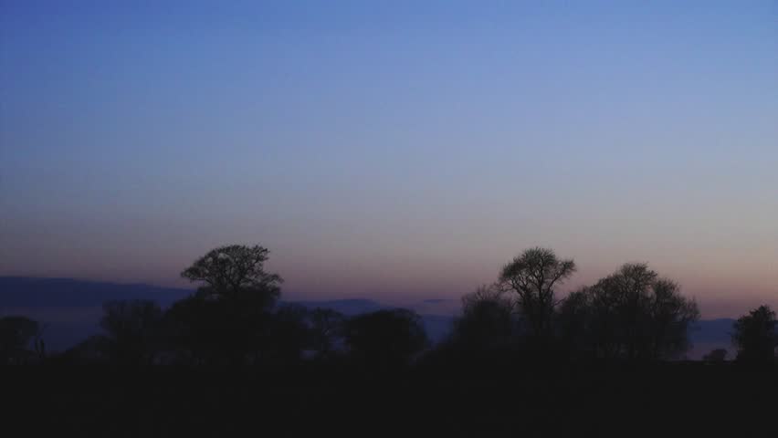Tranquil Horizon Evening with Silhouette of Oak Trees