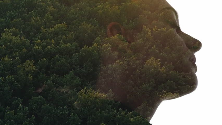 Nature silhouette. Freedom harmony. Aerial view forest with sunset skyline in peaceful daydreaming woman double exposure outline isolated on white free space.