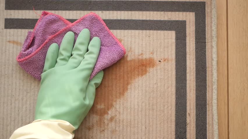 Cleaning a carpet stain with green gloves and a cloth