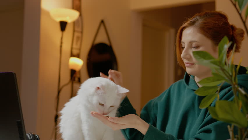 Woman gently feeds her white cat grains while seated at her office table. The moment captures the joy of sharing food and affection for her beloved pet.