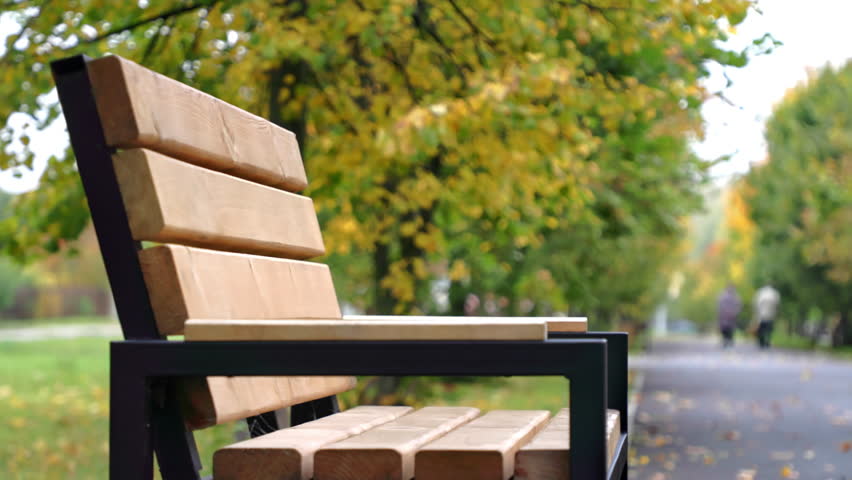 Warm-toned wooden bench with black metal frame resting in serene autumn park, golden leaves scattered nearby, blurred background conveying tranquil landscape atmosphere