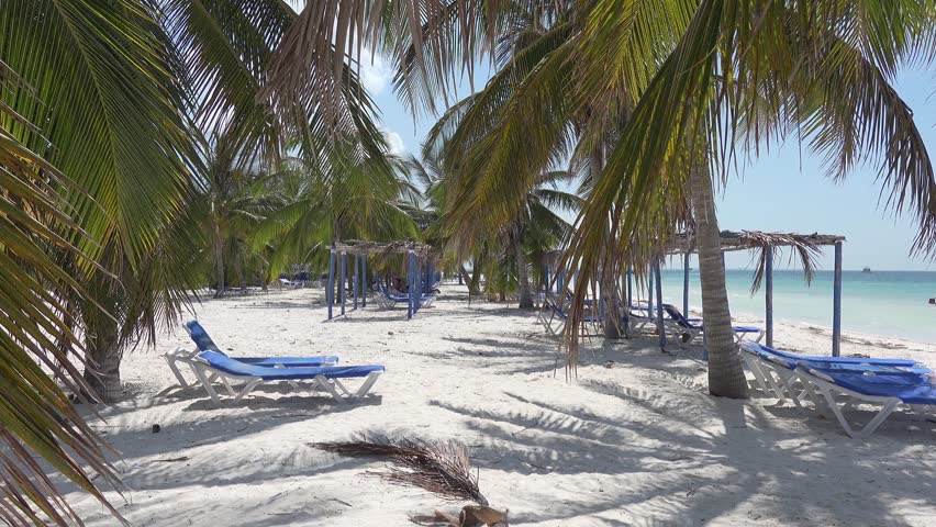 Palm trees, white sand beach and sunbeds at Cayo Blaco island in Cuba, Caribbean