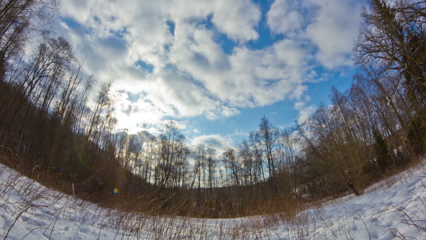 winter forest, time-lapse
