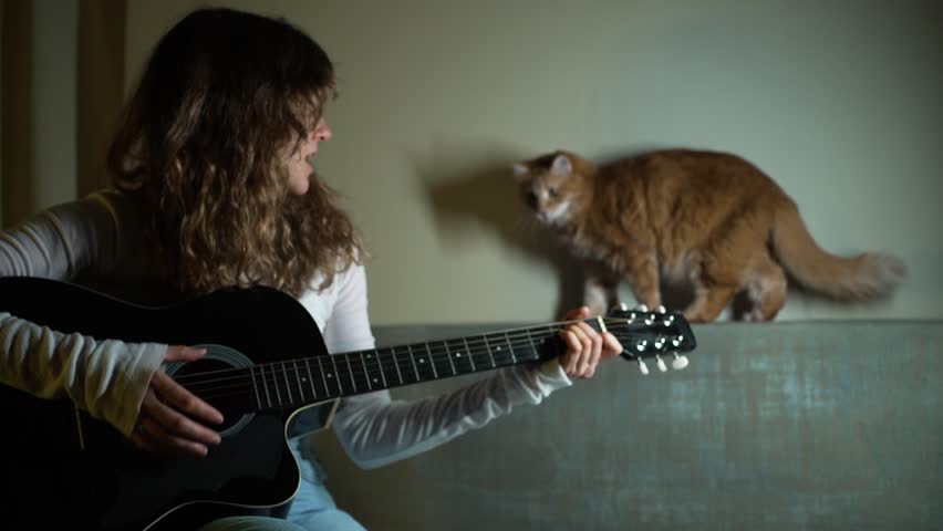 Young musician passionately strumming acoustic guitar, creating melodic harmony while curious cat wandering through serene, cozy living room background with soft indoor lighting