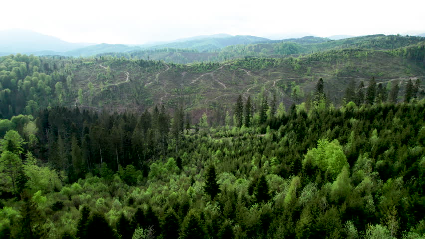 Aerial view of landscape with forested and deforested area in the mountains. Deforestation, logging, environmental destruction.