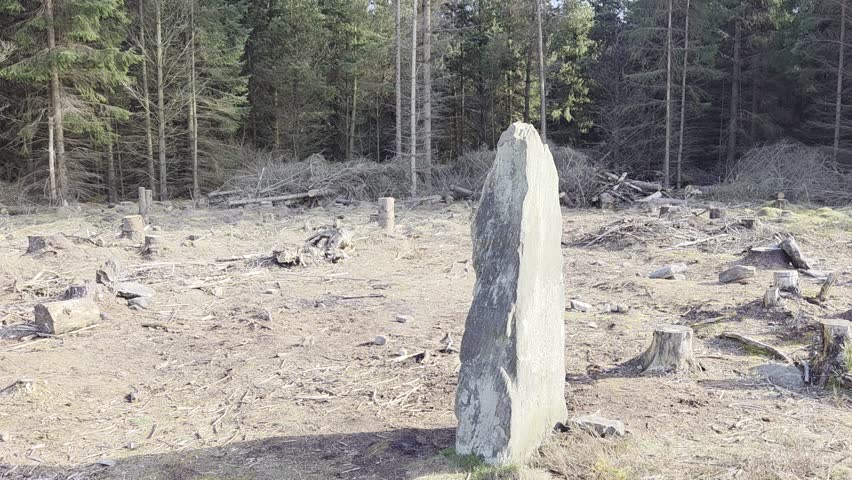 Farley Moor Stone Circle in the woodland.