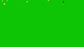 Falling golden confetti on green screen background. Confetti celebratory explosion with elements on a pastel colors and white background. - Powered by Shutterstock - Get 15% off with code: PIKWIZARD15