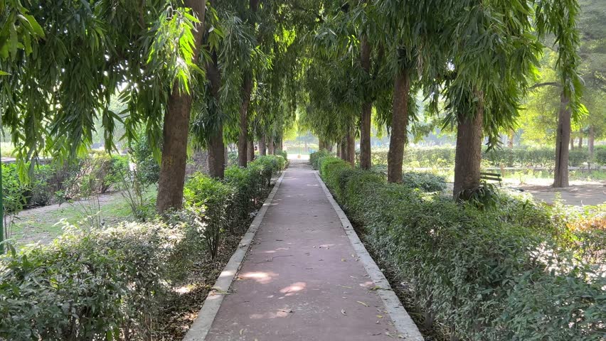 A narrow walkway passing through green vegetation in Picnic hut Park in Ashok Vihar, Delhi, India on a sunny day