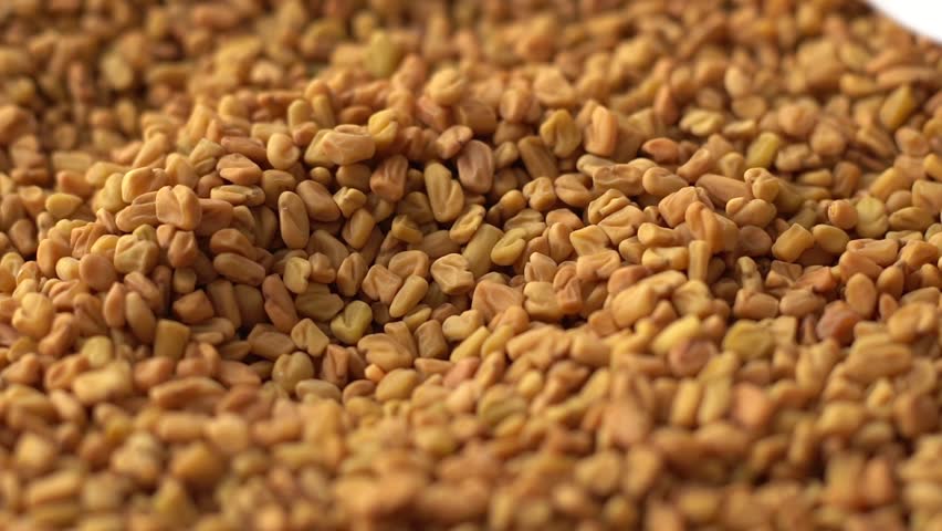 A slow-motion, closeup footage of a white spoon scooping a small pile of fenugreek seeds, with blurred background