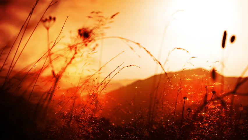 Background with mountains, grass and sun
