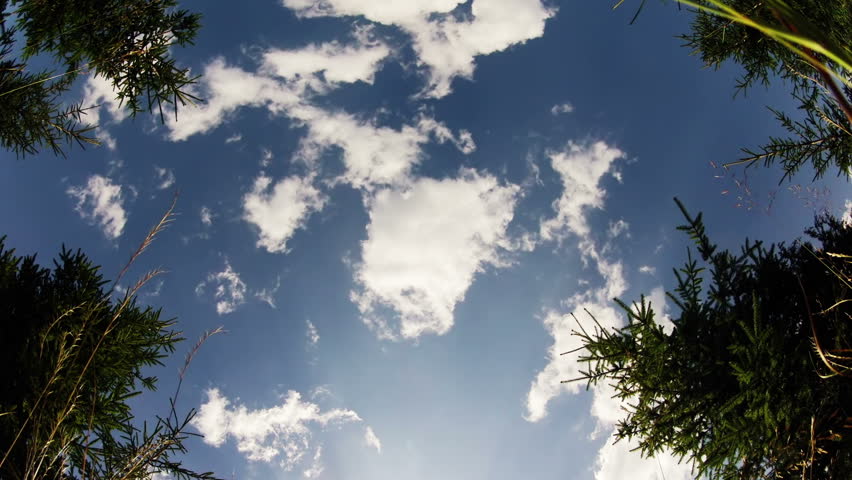 Summer. Blue sky. The lens is directed vertically upwards. Clouds quickly flee.