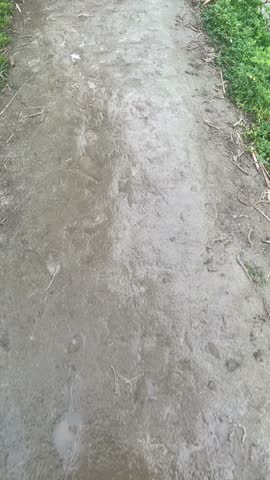 A rainy day in a village. rain, river, green, grass