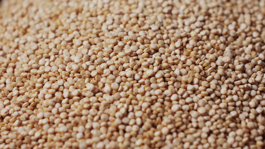 White quinoa, close-up. Quinoa seeds are rich in protein, vitamins and minerals. Healthy nutrition, vegan food.