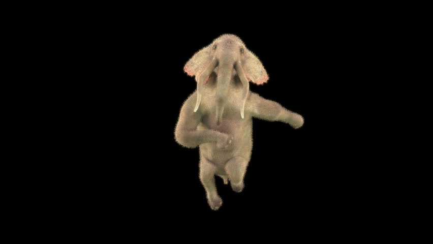 Elephant Dancing 3d rendering, Included in the end of the clip with Luma matte.