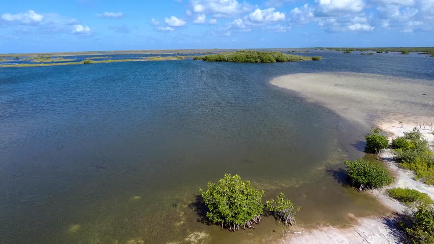 Aerial view of a mangrove lagoon with islands, sandbars, and clear water. Natural landscape scene in Punta Sur, Cozumel, Mexico.