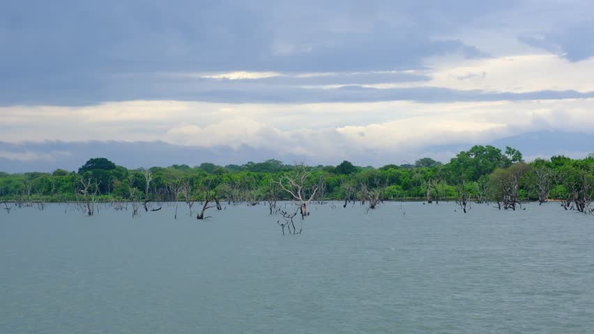 Atmospheric lake and reservoir Veheragala on the Menik Ganga River in Yala National Park in Sri Lanka. Bare, flooded tree trunks against the backdrop of mountains.