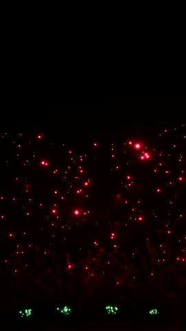 Celebrate the night sky with vibrant fireworks illuminating the darkness during major holidays and events