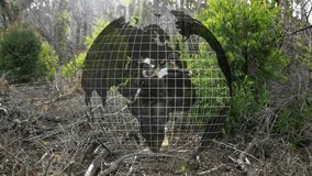 In forest, soldiers with digital globe grid overlay, symbolizing global military animation. technology, security, defense, strategy, cyber, innovation - Powered by Shutterstock - Get 15% off with code: PIKWIZARD15