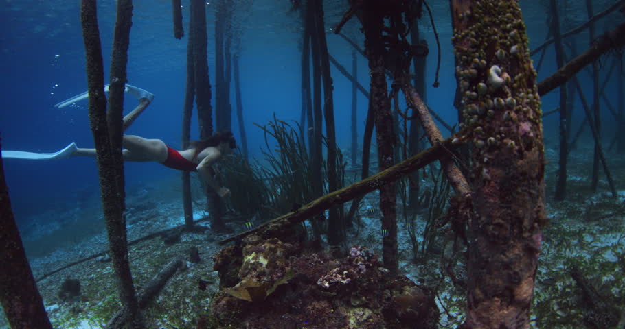 Woman freediver swims under pier between the the pillars in blue ocean, freediving in tropical sea
