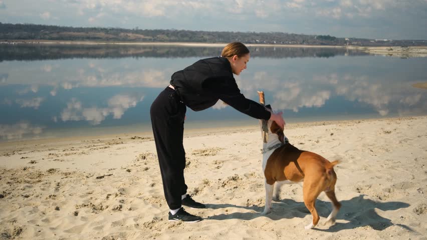 Cute teenage girl playing with her Staffordshire terrier dog during a walk