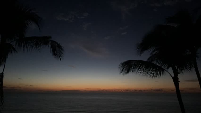 Mostly clear sky with light clouds and silhouetted trees, creating a grounded and expansive scene with peaceful morning tones.