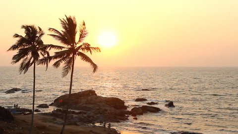 India Goa Vagator beach February 20, 2013. Palm Trees Silhouette At Sunset