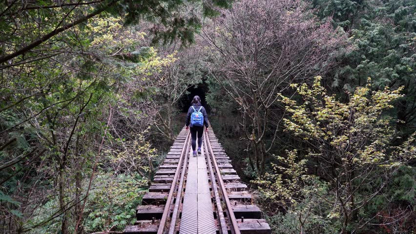 Woman Hiker Crossing an Abandoned Railway Bridge on Mianyue Trail, Alishan, Taiwan