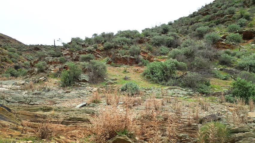 A pull-back drone footage of the green mountains and big rock formations in Flinders Ranges National Park in South Australia, Australia during daytime