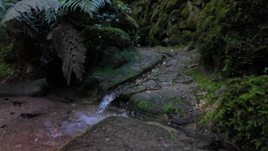 Cinematic slow-motion of small river in Sintra park