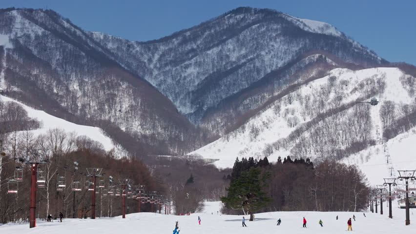 Skiers, snowboarders on gentle slope, trees, mountain backdrop. Hakuba, Japan