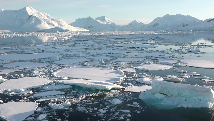 Melting ice in Antarctica reveals effects of climate change on polar ecosystems and global warming