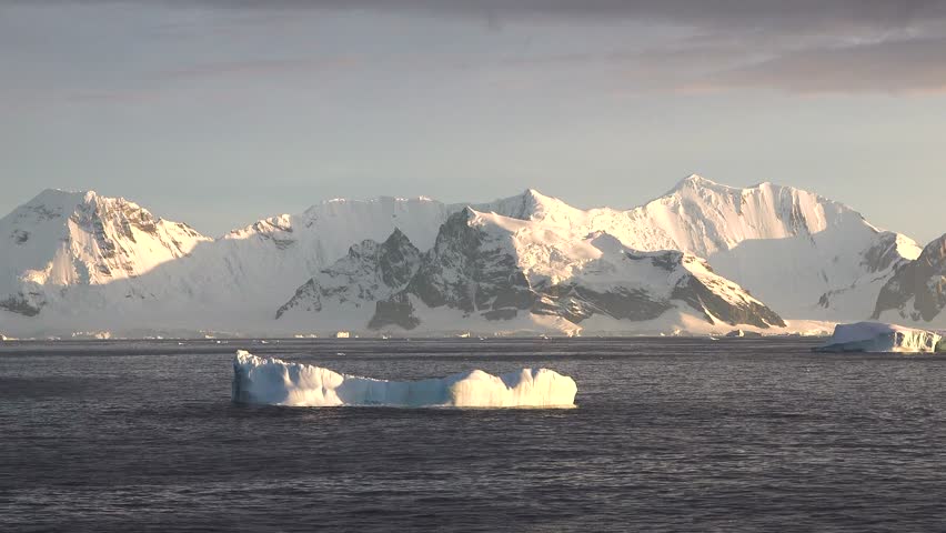 Melting ice in Antarctica reveals effects of climate change on polar ecosystems and global warming