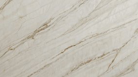 marble texture with a soft creamy white background, decorated with thin flowing veins of gold and brown. - Powered by Shutterstock - Get 15% off with code: PIKWIZARD15