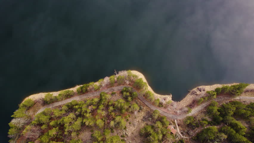 Aerial View of a Serene Lake Shoreline with Lush Trees and Scenic Details
