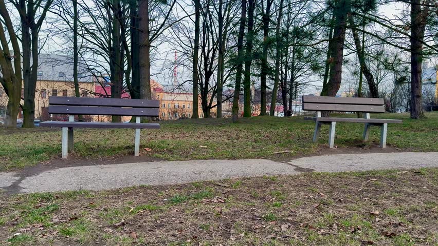 In a serene park setting, two inviting benches sit together, encouraging relaxation, contemplation, and mindfulness