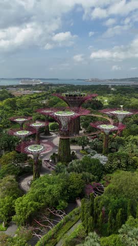 Aerial vertical fly Gardens by the Bay famous Supertree, Singaporean travel landmark, skyline at daylight