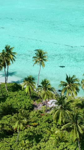 A beautiful Drone view of Tropical Maldives Featuring Lush Jungle, Palm Trees and Crystal-Clear waters on a sunny day