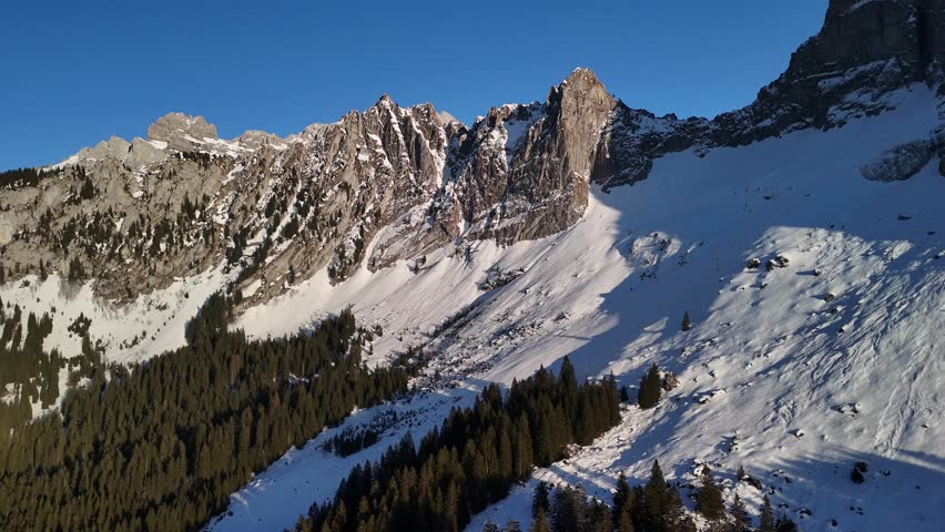 Switzerland Swiss Alps mountains evergreen forest tree winter snow covered ground