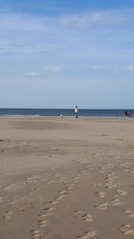 a girl walking on the beach with a small dog spending time together