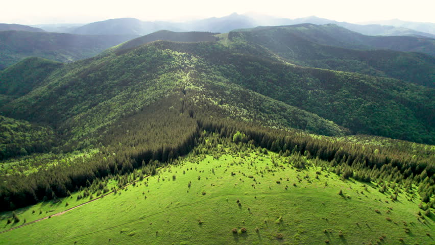 Aerial view green mountain landscape. Rolling hills covered in dense pine forests and trees stretch into the distance. Contrasting shades of green and distant peaks create a serene, picturesque view.