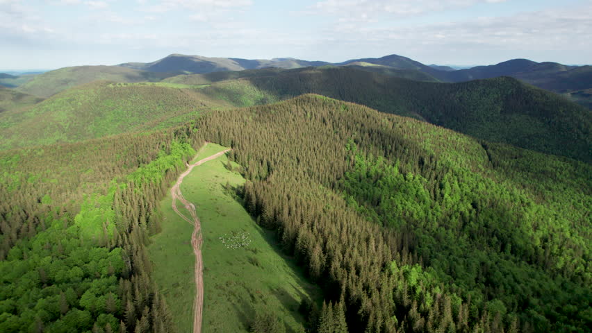Aerial view green mountain landscape. Rolling hills covered in dense pine forests and trees stretch into the distance. Contrasting shades of green and distant peaks create a serene, picturesque view.