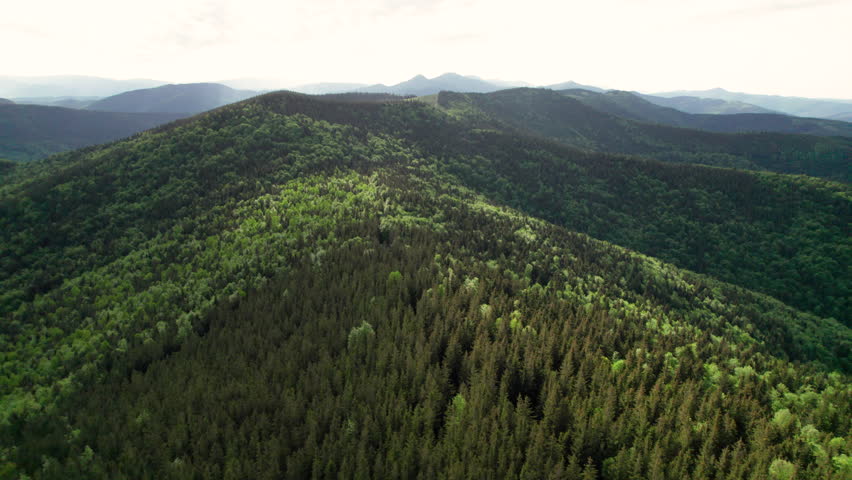 Aerial view green mountain landscape. Rolling hills covered in dense pine forests and trees stretch into the distance. Contrasting shades of green and distant peaks create a serene, picturesque view.