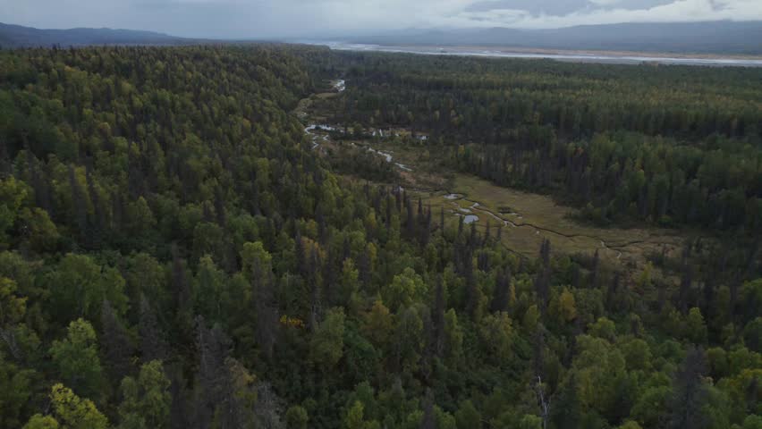River valley and forest of Alaska, aerial drone view