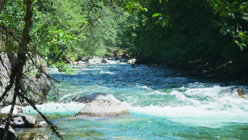 Ruby Creek Flowing Through The Forest In Summer In Washington. - wide shot
