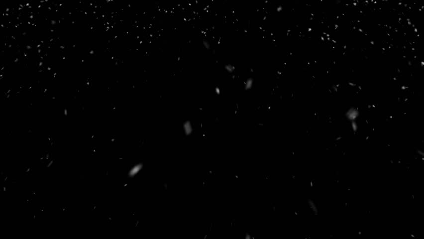 Falling Snow Animation Loop. Digitally generated falling snow loop animation over black background.