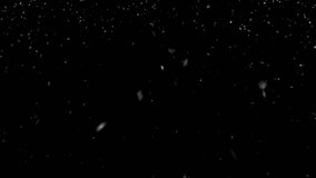 Falling Snow Animation Loop. Digitally generated falling snow loop animation over black background. - Powered by Shutterstock - Get 15% off with code: PIKWIZARD15
