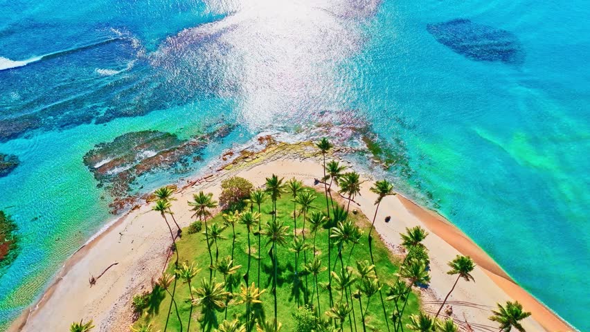 Drone view of Hawaii tropical palm beach with golden sand on the sea coast. Island among coral reef blue and turquoise sea. Summer vacation on a tropical island.